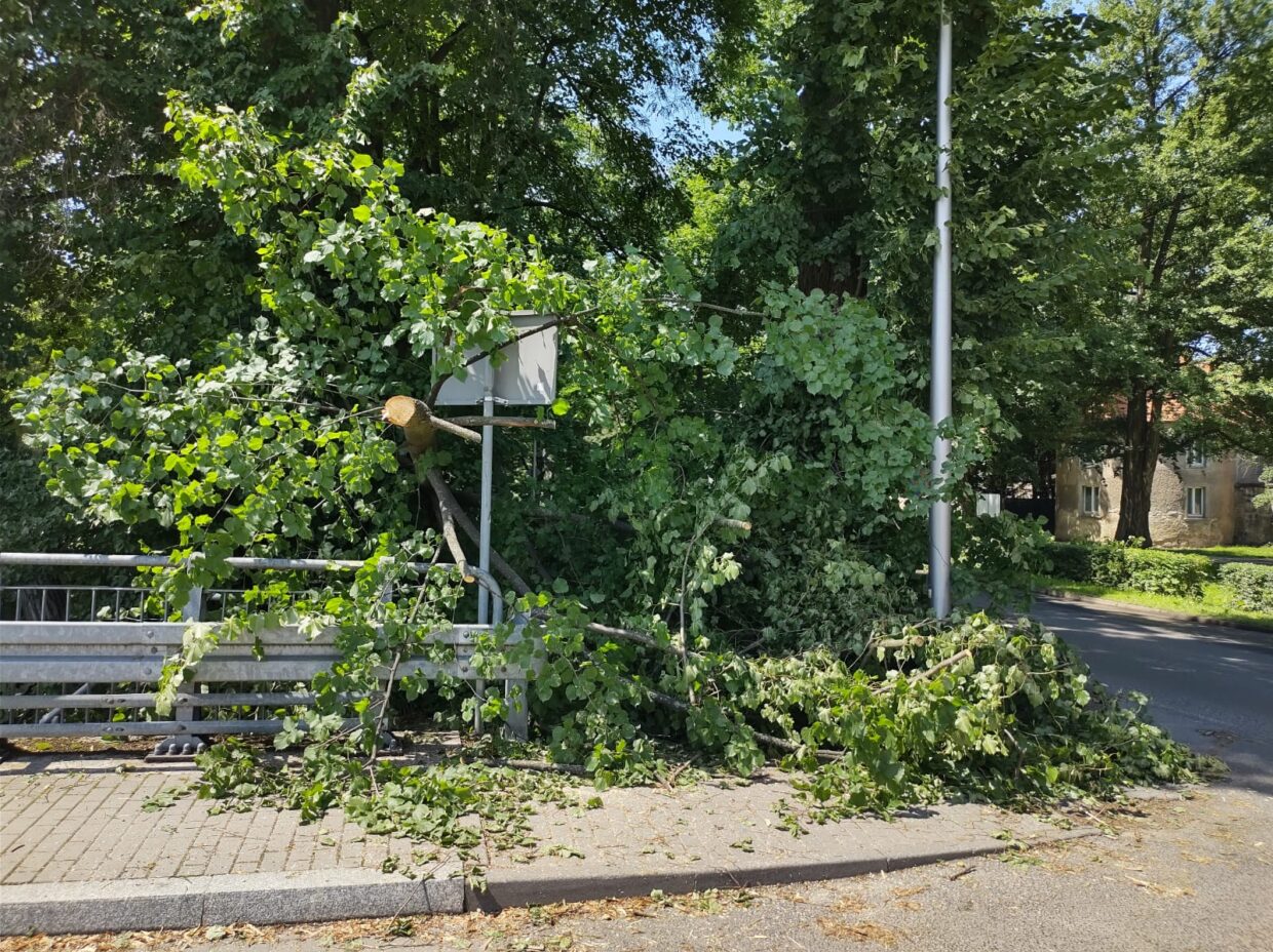 Nawałnice przechodzą przez powiat lwówecki 4 IMG 20260620 WA0017 scaled