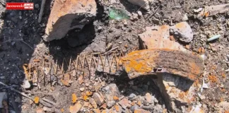 Tłumy poszukiwaczy skarbów nad Jeziorem Pilchowickim Jezioro Pilchowickie skarby