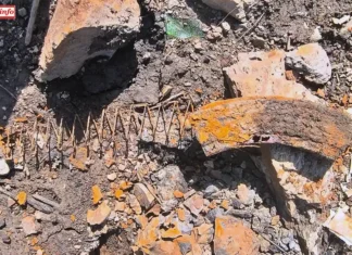 Tłumy poszukiwaczy skarbów nad Jeziorem Pilchowickim Jezioro Pilchowickie skarby