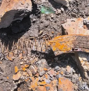 Tłumy poszukiwaczy skarbów nad Jeziorem Pilchowickim Jezioro Pilchowickie skarby