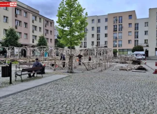 Rośnie las na lwóweckim rynku Lato agatowe stragany 2026 1