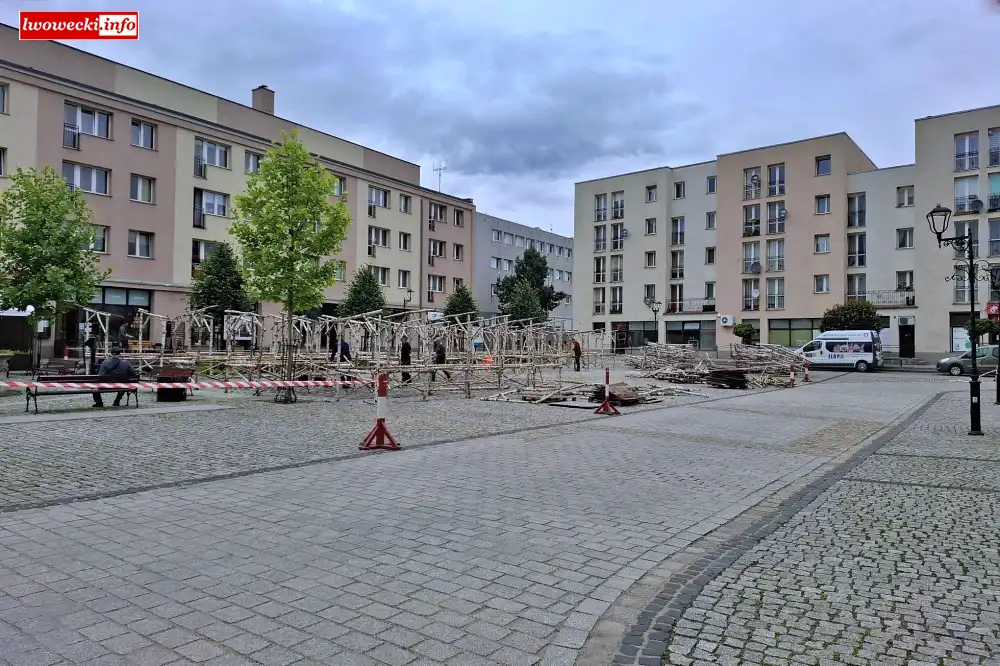 Rośnie las na lwóweckim rynku