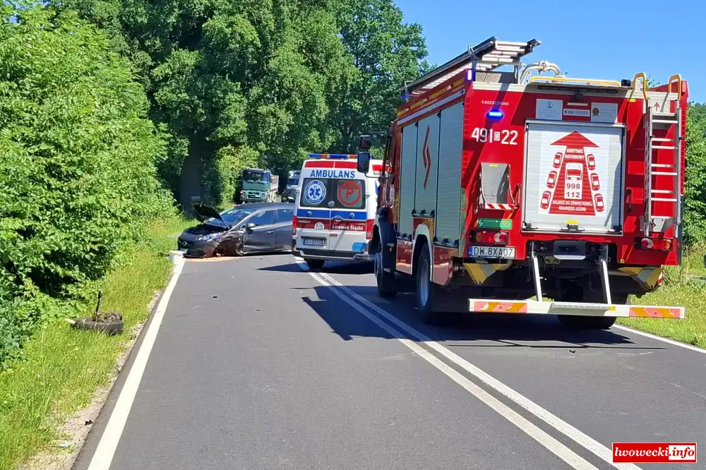 Wypadek Bielnaka 1