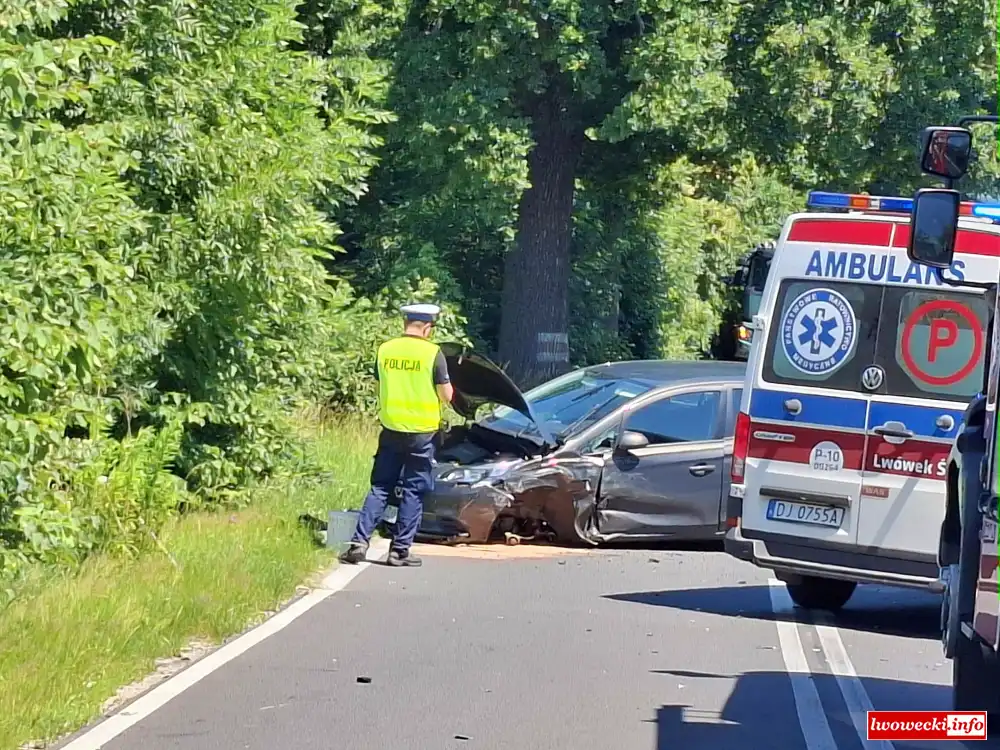 Wypadek na drodze wojewódzkiej. eCall wysłał zgłoszenie