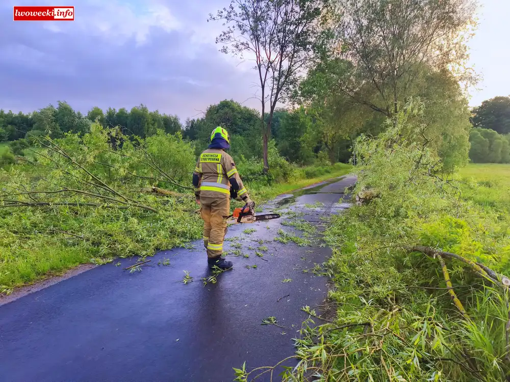Nawałnica nad powiatem lwóweckim 2 nawalnica drzewo osp Lubomierz 2