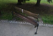 Tornado przeszło przez Lwówek Śląski? park miejski w Lwówku Śląskim ławki