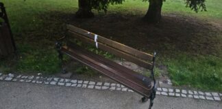 park miejski w Lwówku Śląskim ławki