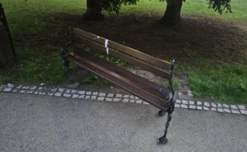 Tornado przeszło przez Lwówek Śląski? park miejski w Lwówku Śląskim ławki