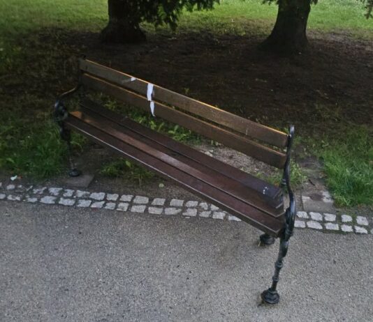 park miejski w Lwówku Śląskim ławki