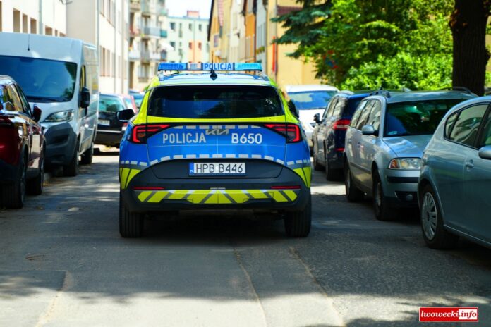 policja