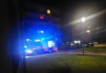 pożar gryfów straż 2