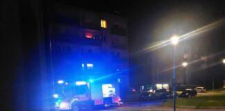 pożar gryfów straż 2