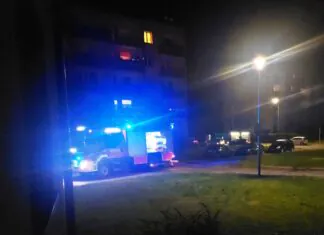 pożar gryfów straż 2