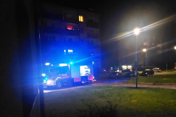 pożar gryfów straż 2
