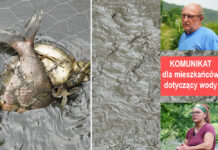 katastrofa ekologiczna Jezioro Pilchowickie rzeka Bóbr