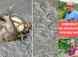 katastrofa ekologiczna Jezioro Pilchowickie rzeka Bóbr