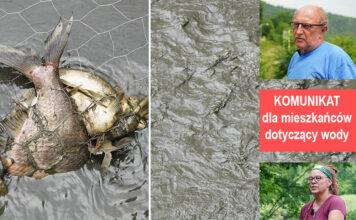 katastrofa ekologiczna Jezioro Pilchowickie rzeka Bóbr