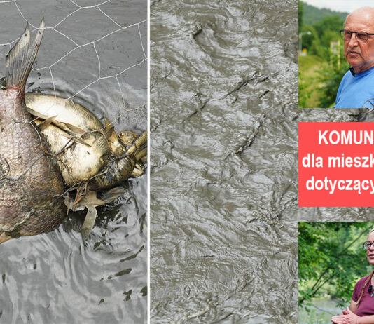 Martwe ryby i czarny muł. Katastrofa ekologiczna w Dolinie Bobru katastrofa ekologiczna Jezioro Pilchowickie rzeka Bóbr