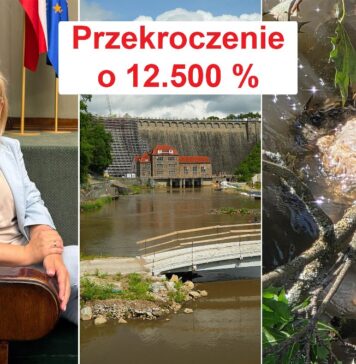 Katastrofa ekologiczna. Szok! Przekroczenie o 12.500 procent! Jezioro Pilchowickie rzeka Bobr przekrocznie norm