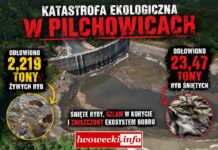 Katastrofa ekologiczna na Jeziorze Pilchowickim. RDOŚ ujawnia nowe informacje