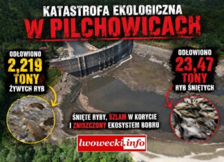Katastrofa ekologiczna na Jeziorze Pilchowickim. RDOŚ ujawnia nowe informacje Katastrofa ekologiczna na Jeziorze Pilchowickim RDOS ujawnia nowe informacje