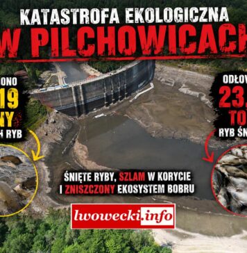 Katastrofa ekologiczna na Jeziorze Pilchowickim. RDOŚ ujawnia nowe informacje Katastrofa ekologiczna na Jeziorze Pilchowickim RDOS ujawnia nowe informacje