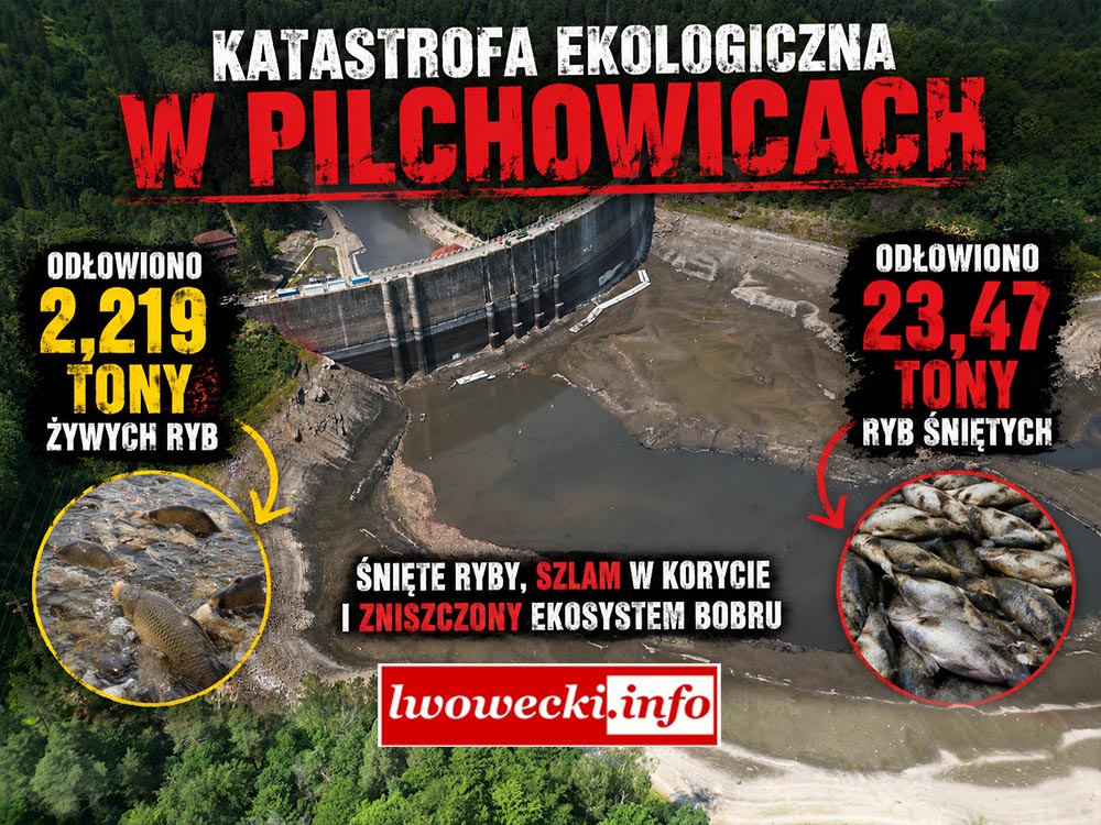 Katastrofa ekologiczna na Jeziorze Pilchowickim. RDOŚ ujawnia nowe informacje