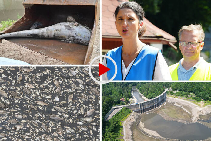 Kto odpowiada za katastrofę na Jeziorze Pilchowickim Kto odpowiada za katastrofę na Jeziorze Pilchowickim