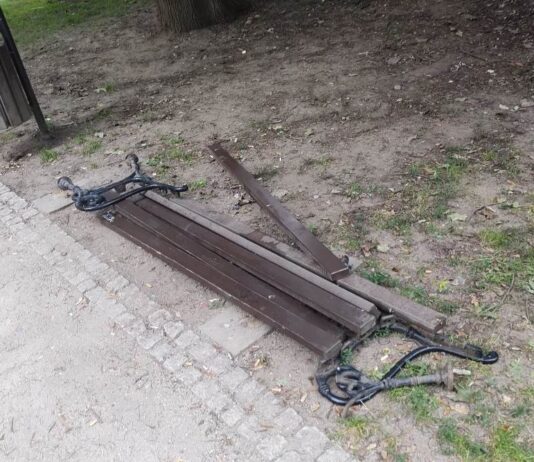 Wspomnienie Lwóweckiego Lata Agatowego