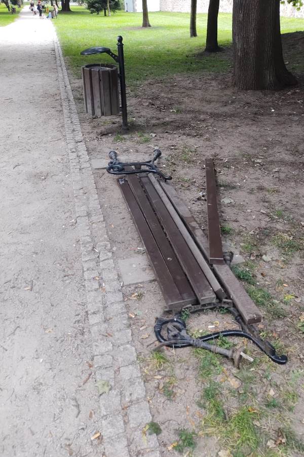 Wspomnienie Lwóweckiego Lata Agatowego