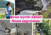 Turystyczny Armagedon w Pilchowicach. Są nowe wyniki badań wody