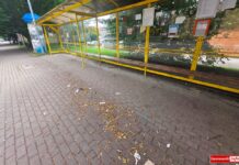 Lwówek Śląski – jedna interpelacja nie wystarczyła