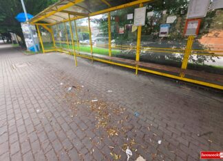 Lwówek Śląski – jedna interpelacja nie wystarczyła Przystanek Lwowek Slaski dworzec autobus 5