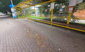 Lwówek Śląski – jedna interpelacja nie wystarczyła Przystanek Lwowek Slaski dworzec autobus 5
