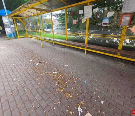 Lwówek Śląski – jedna interpelacja nie wystarczyła