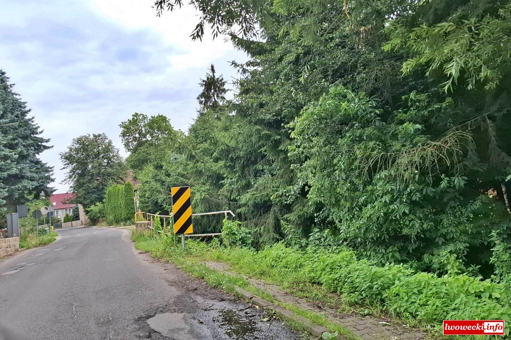 Powiat wybuduje kładkę dla pieszych 3 Radlowka kladka Powiat Lwowecki 3