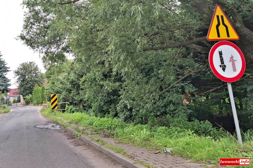 Powiat wybuduje kładkę dla pieszych 5 Radlowka kladka Powiat Lwowecki 5