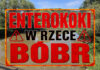 enterokoki w rzece Bóbr