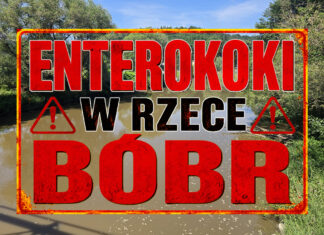 Enterokoki w rzece Bóbr. Przekroczenie dwu i pół krotne! enterokoki w rzece Bóbr