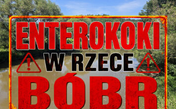 Enterokoki w rzece Bóbr. Przekroczenie dwu i pół krotne! enterokoki w rzece Bóbr