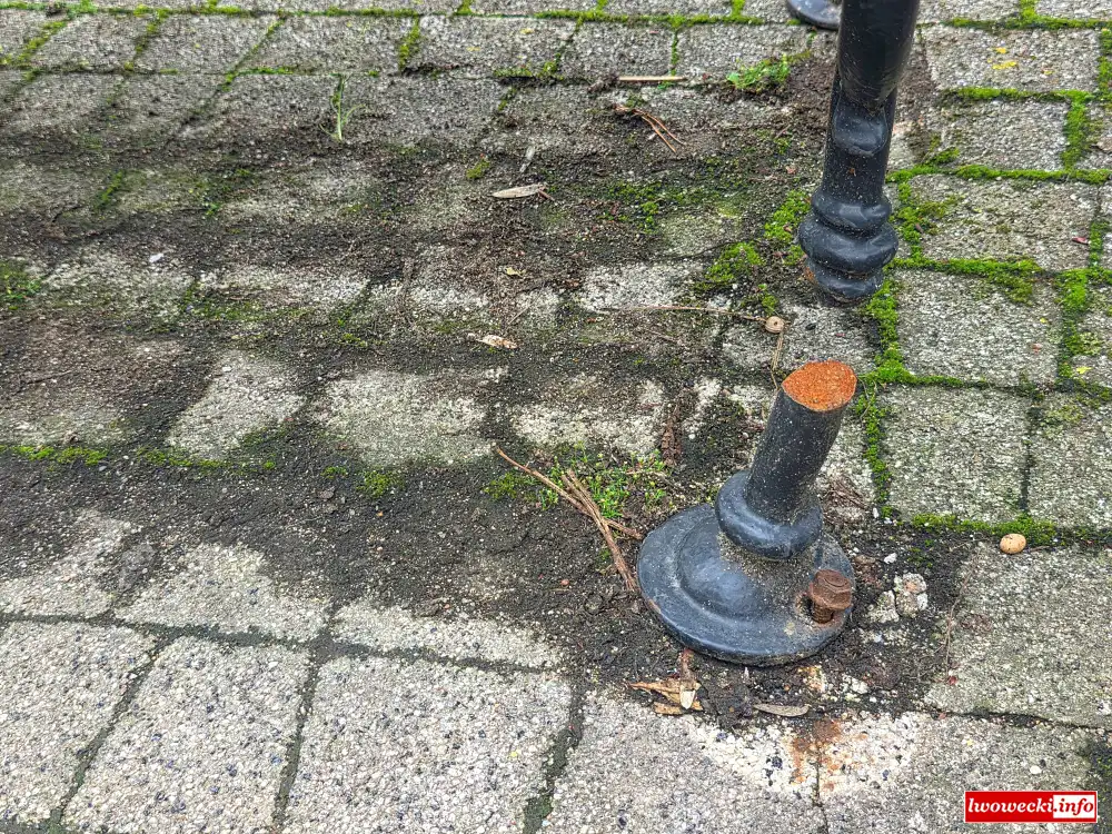 Lwówek Śląski - zanim dojdzie do nieszczęścia 2 lawka planty Lwowek 3
