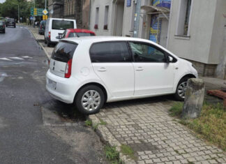 mistrz parkowania lwowek 3