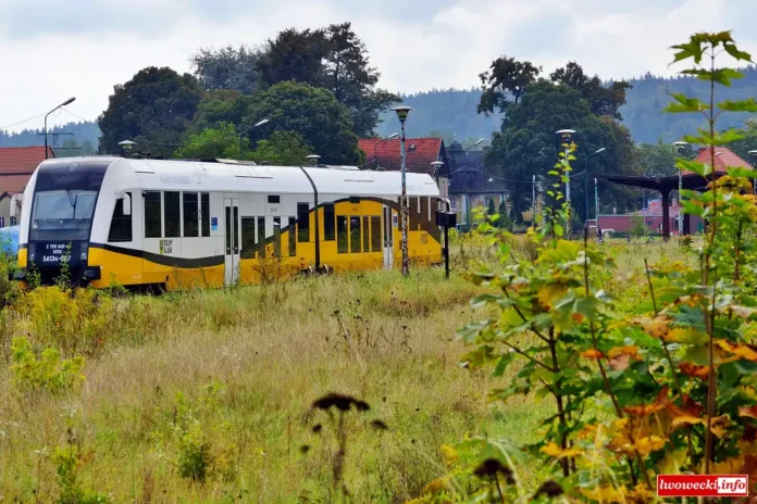 pociąg lwówek jelenia 2