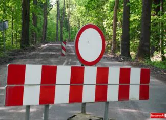 Zamykają drogę wojewódzką 297. Będą układać asfalt przebudowa DW297 Zalesie Pasiecznik