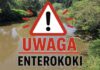 Rzeka Bóbr – enterokoki – przekroczenie niemal dwukrotne rzeka Bóbr enterokoki woda
