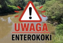 Rzeka Bóbr – enterokoki – przekroczenie niemal dwukrotne rzeka Bóbr enterokoki woda