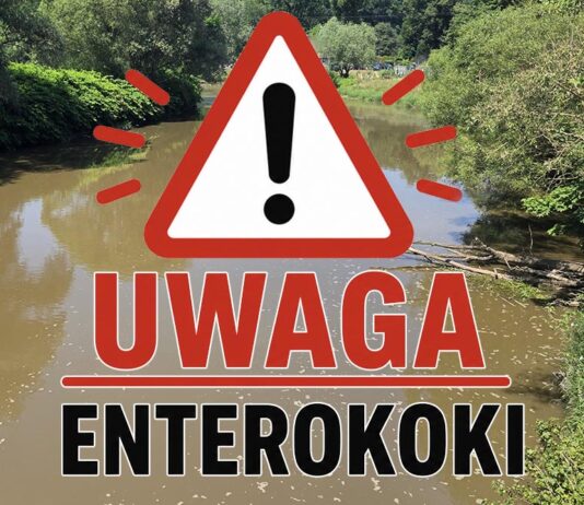 Rzeka Bóbr – enterokoki – przekroczenie niemal dwukrotne rzeka Bóbr enterokoki woda