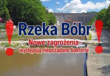 Rzeka Bóbr – stwierdzono nowe zagrożenia