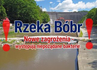 rzeka bobr zanieczyszczona bakteriami