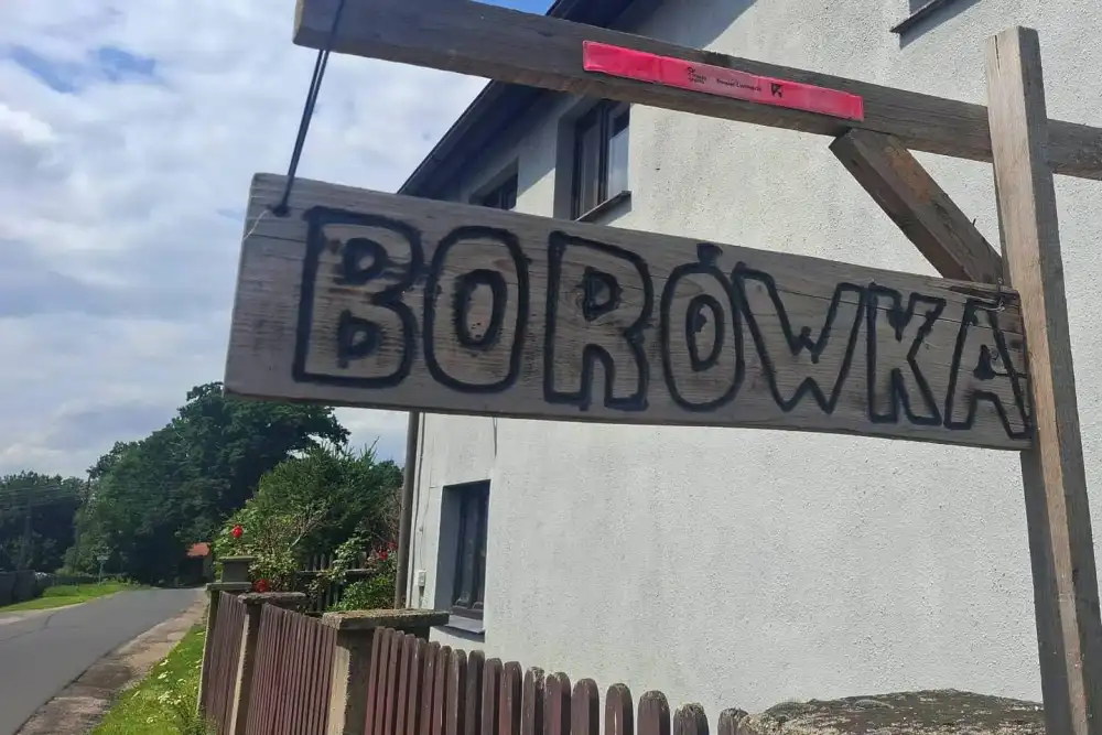 Borówki amerykańskie na sprzedaż. Niska cena 2 sprzedaz borowek amerykanskich cena 3